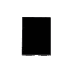 Display iPad 7ª Gen 10.2" A2197